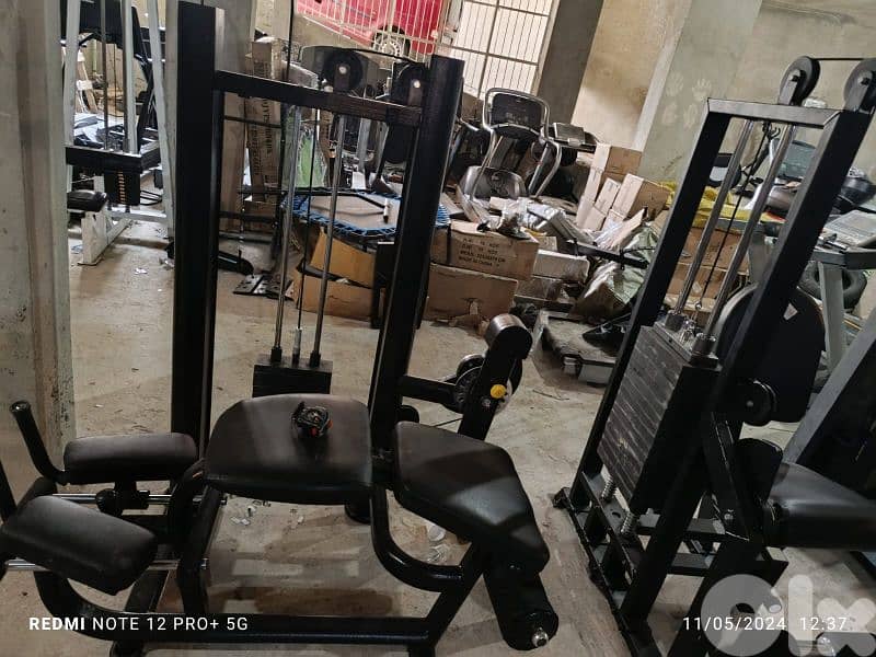 biceps and other Gym machines 03027072 GEO SPORT 3