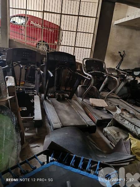 biceps and other Gym machines 03027072 GEO SPORT 4