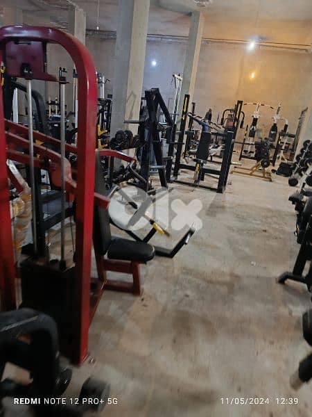 biceps and other Gym machines 03027072 GEO SPORT 6