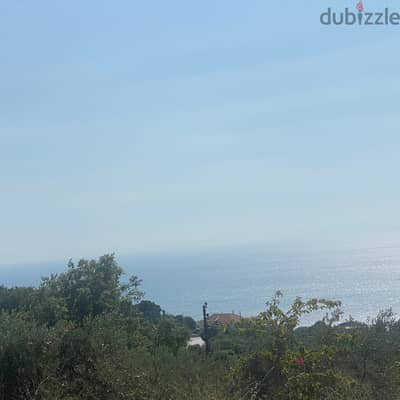 Land for sale in Thoum ارض للبيع في تحوم