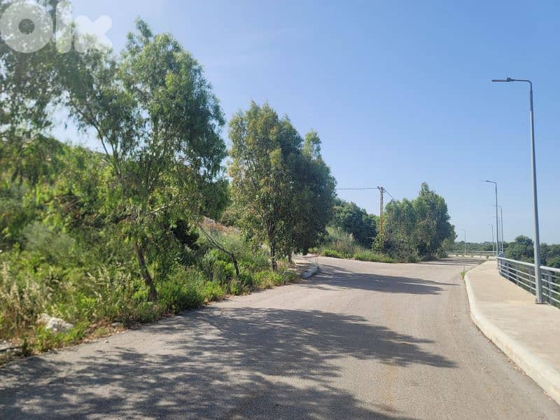 SEA VIEW! LAND NEAR MONSEF RRR-013 3