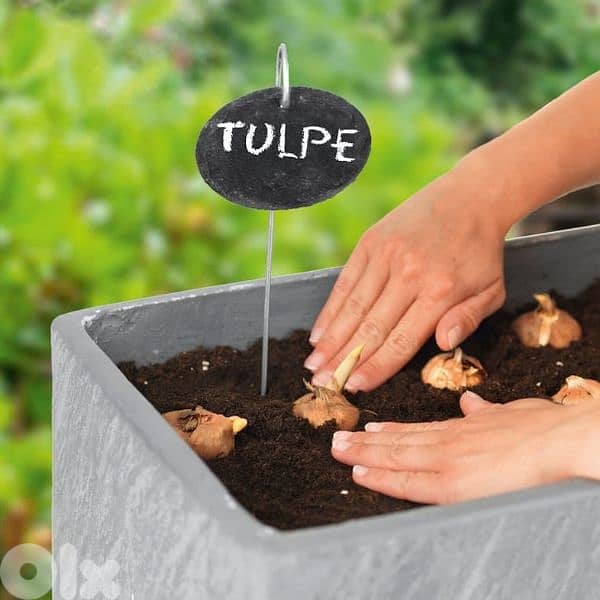 hoberg slate plant labels 2