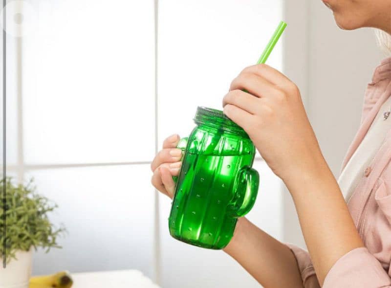 cactus lovers glass jug with straw 1