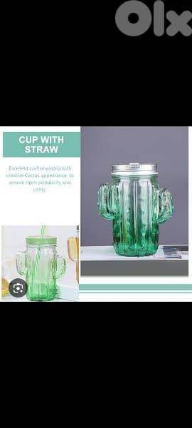 cactus lovers glass jug with straw 2