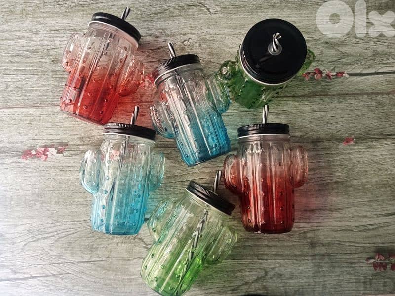 cactus lovers glass jug with straw 3