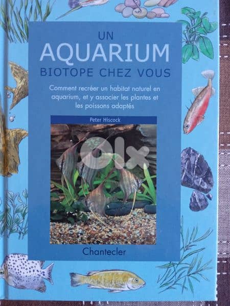 Un aquarium biotope chez vous encyclopedia 0