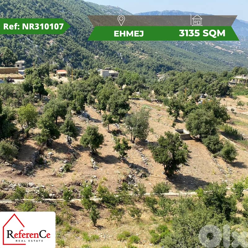 Hot Deal Land for sale in Ehmej أرض مميزة للبيع في اهمج 0
