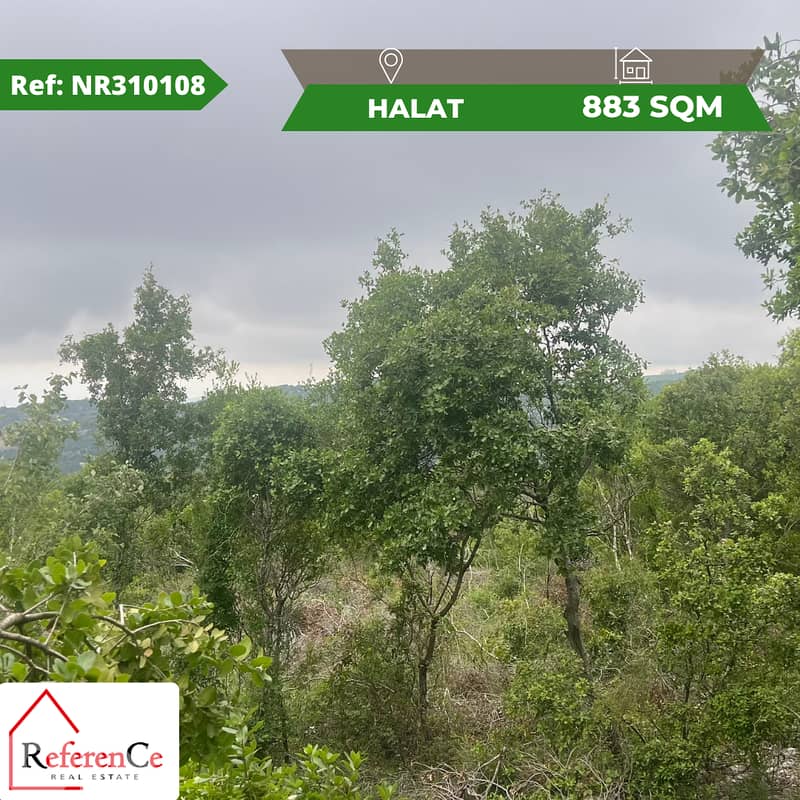 Land for sale in Halat أرض للبيع في حالات 0