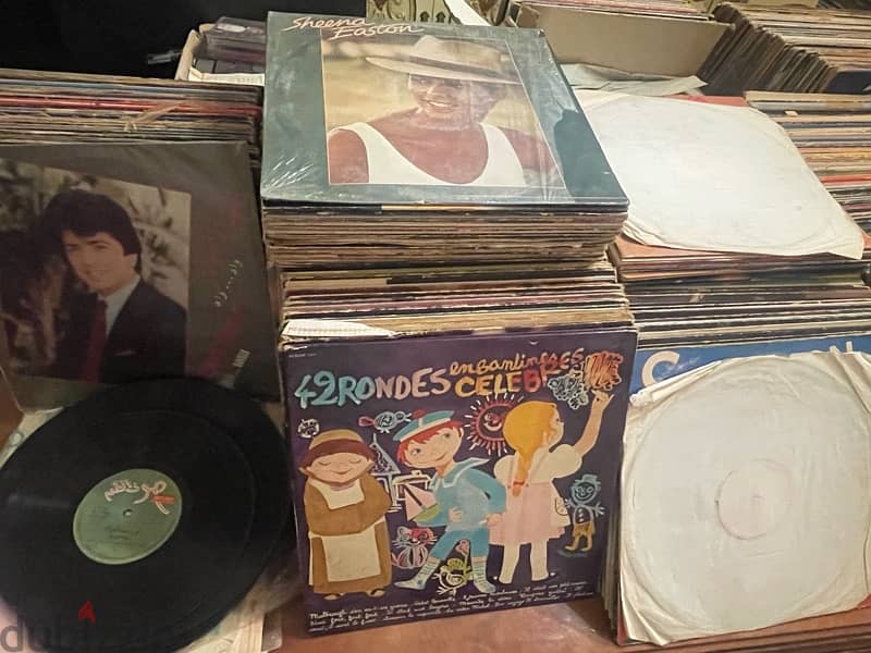 الظريف بيروت 3