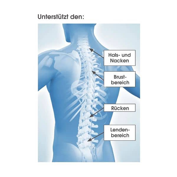 vitalmaxx back support belt adjustable 1