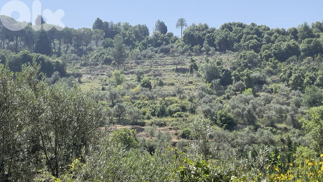 RWB156CA - Land for sale in Chamat Jbeil 0