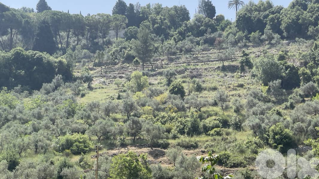 RWB156CA - Land for sale in Chamat Jbeil 1