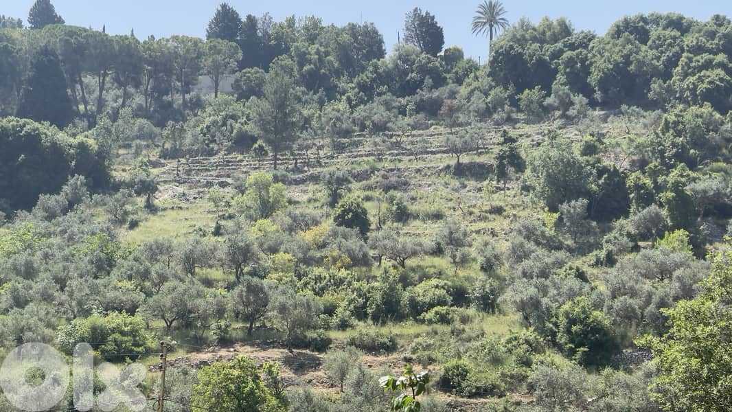 RWB156CA - Land for sale in Chamat Jbeil 2