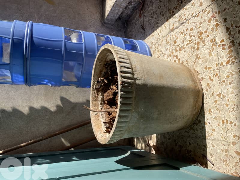 Grey plant planter pots 2