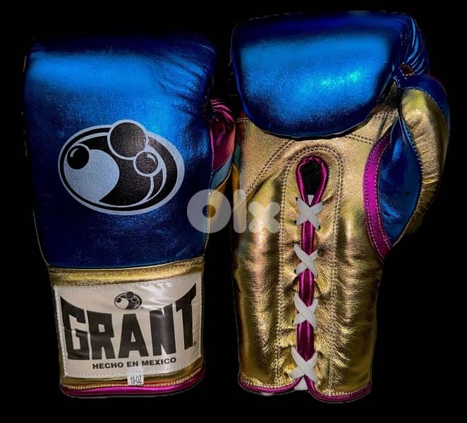 Boxing gloves 1