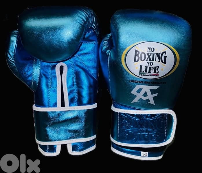 Boxing gloves 3