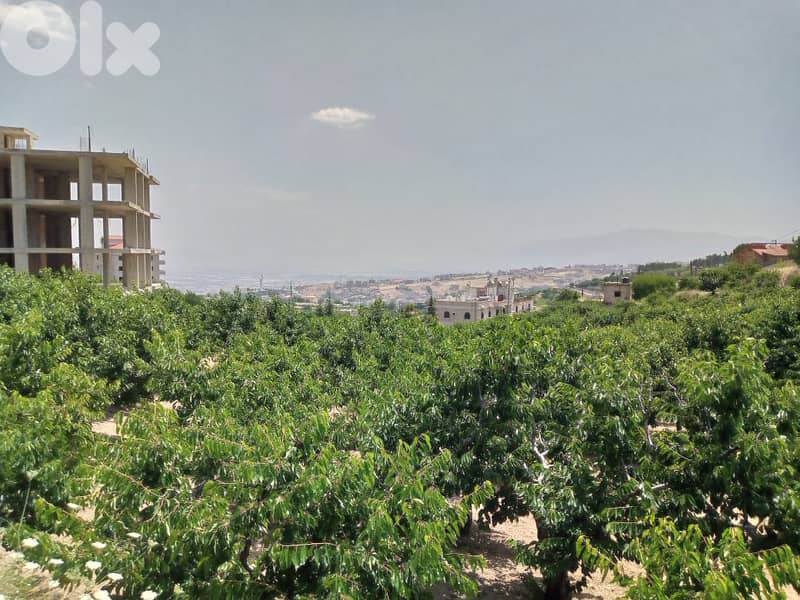 zahle wadi el arayesh land 2900 sqm for sale panoramic view Ref#5981 1