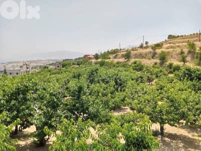 zahle wadi el arayesh land 2900 sqm for sale panoramic view Ref#5981