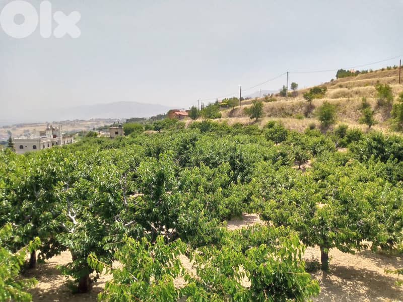 zahle wadi el arayesh land 2900 sqm for sale panoramic view Ref#5981 0