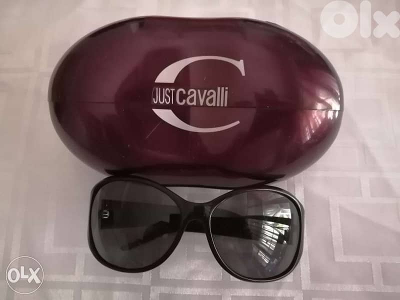 Cavalli sunglasses 2