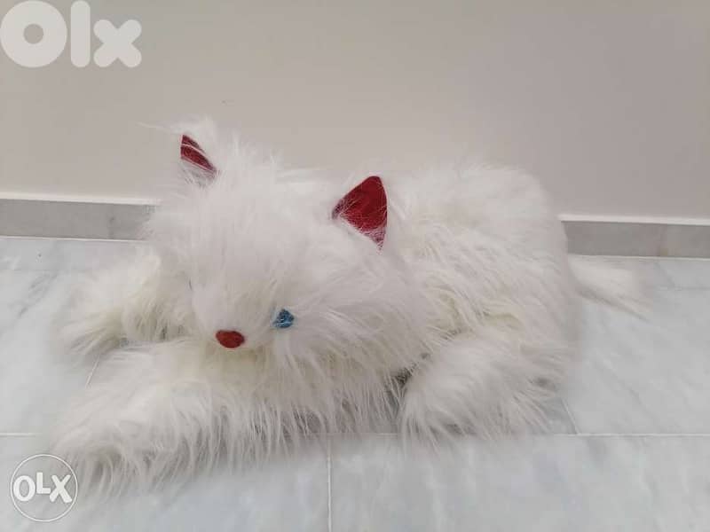 peluche cats 3