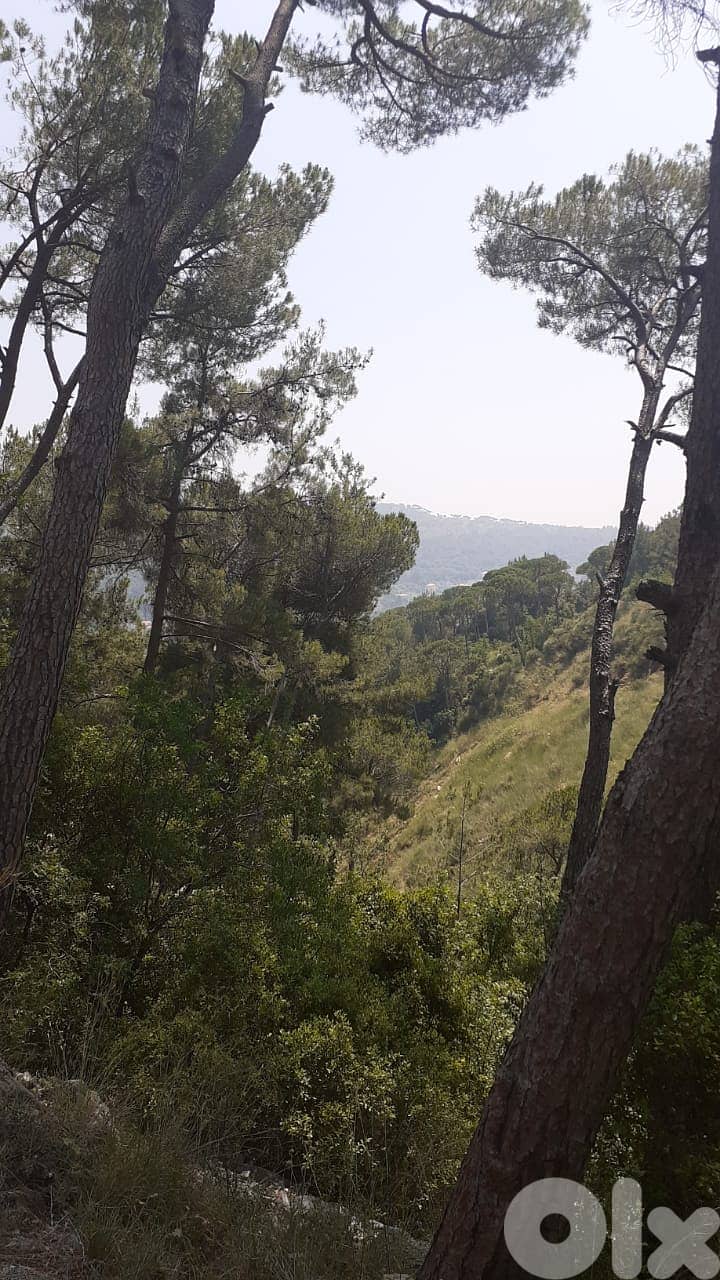 L15517-A 3675 SQM Land for Sale in Qonnabet Baabdat 0