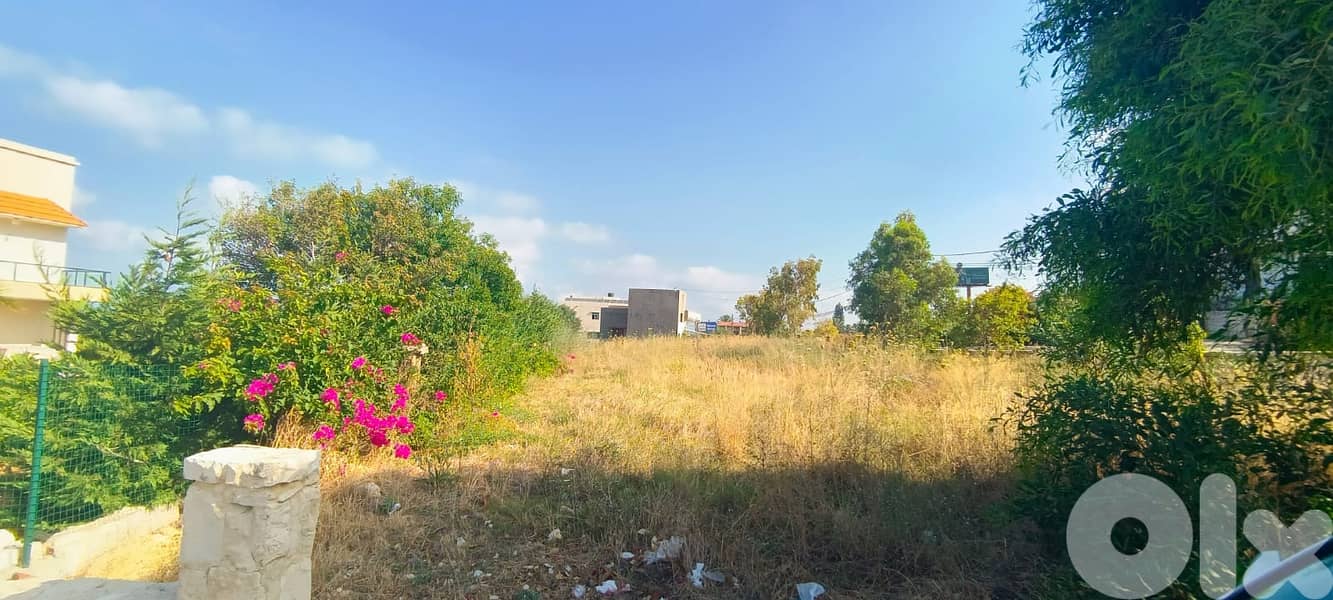 L15527-1,000 SQM Land for Rent In Barbara 0