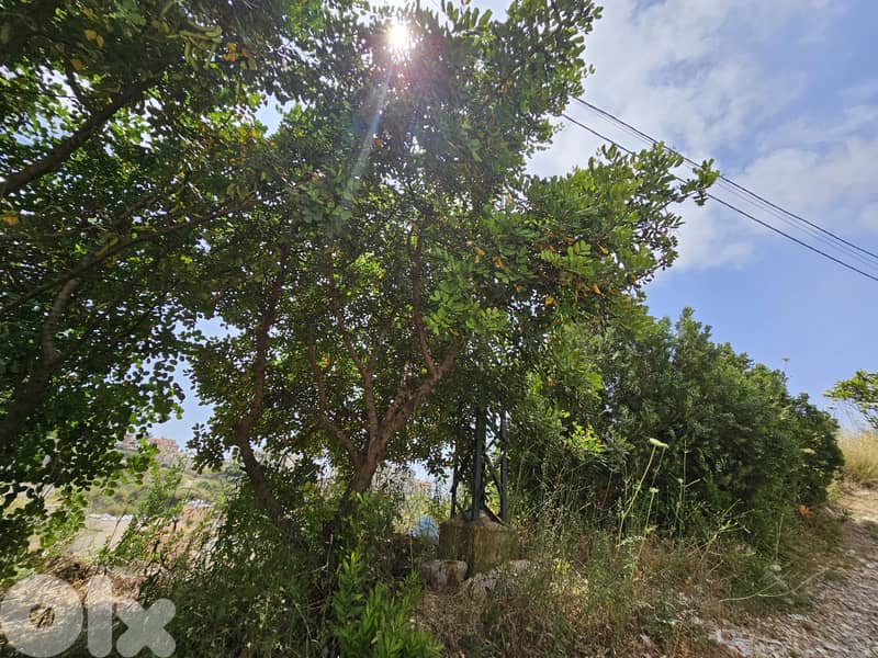 RWB281MT - Land for sale in Blat Jbeil 0
