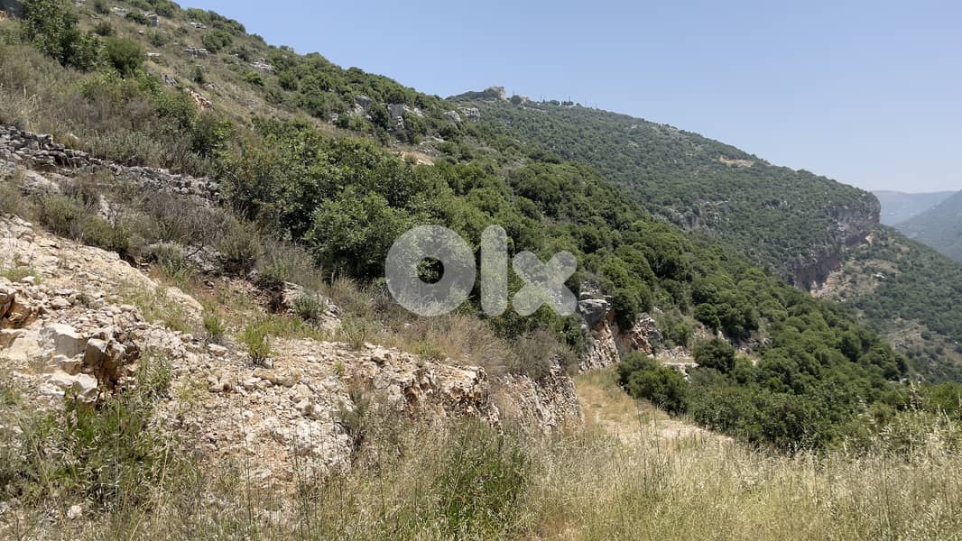 RWB159CA - Land for sale in Jbeil Ghalboun 0