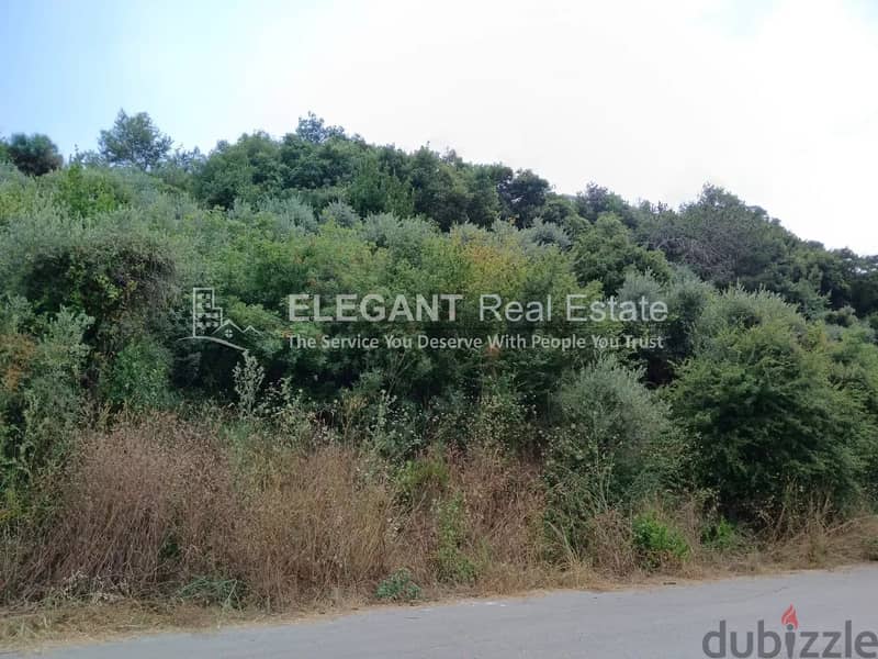 Beautiful Land | Panoramic View | 0