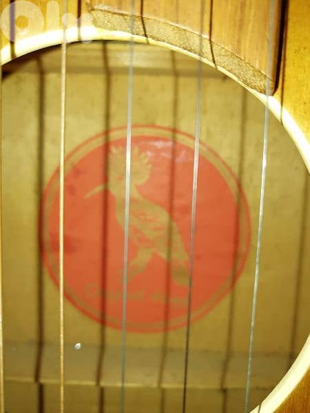 غيتار اصلي 1