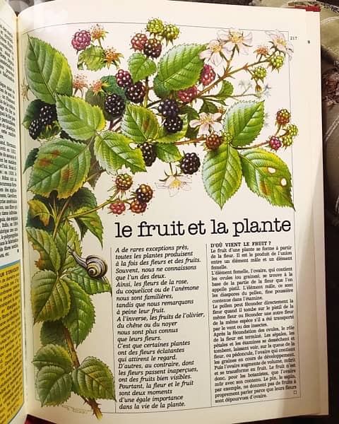 الموسوعة الرائعة الفخمة جدا  tout l'univers 1