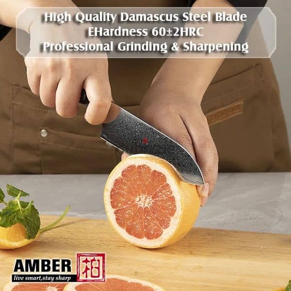professional demascus steel chefs knife 5