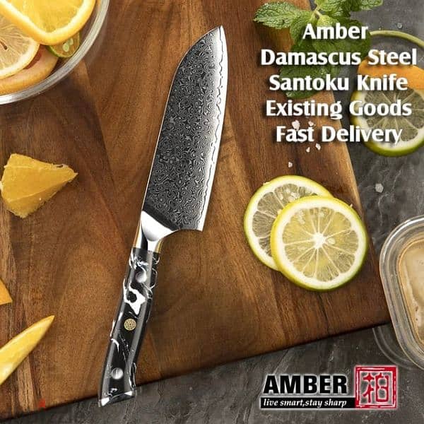 professional demascus steel chefs knife 6
