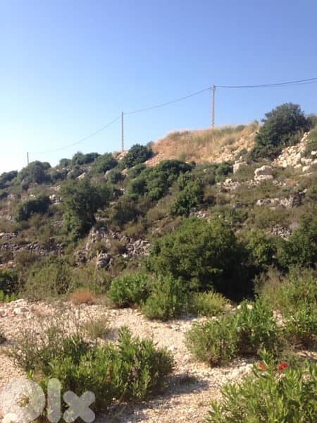 1540m Land zone 25/50 Sea View Eddeh Batroun 5 mins highway 5