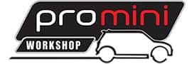 Pro Mini Workshop