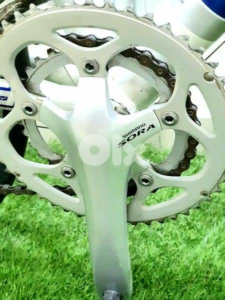 focus road bike 28 used like new 8