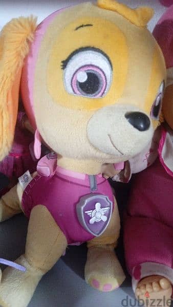 paw patrol 0