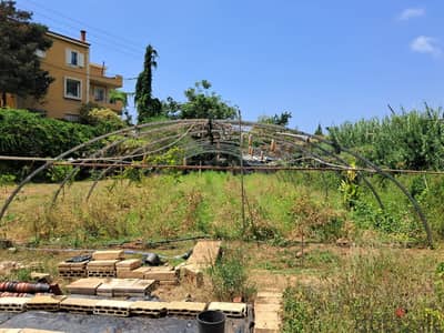 hangar plastic 300 m2 بيت بلاستيك هنغار زراعي 300 م مربع