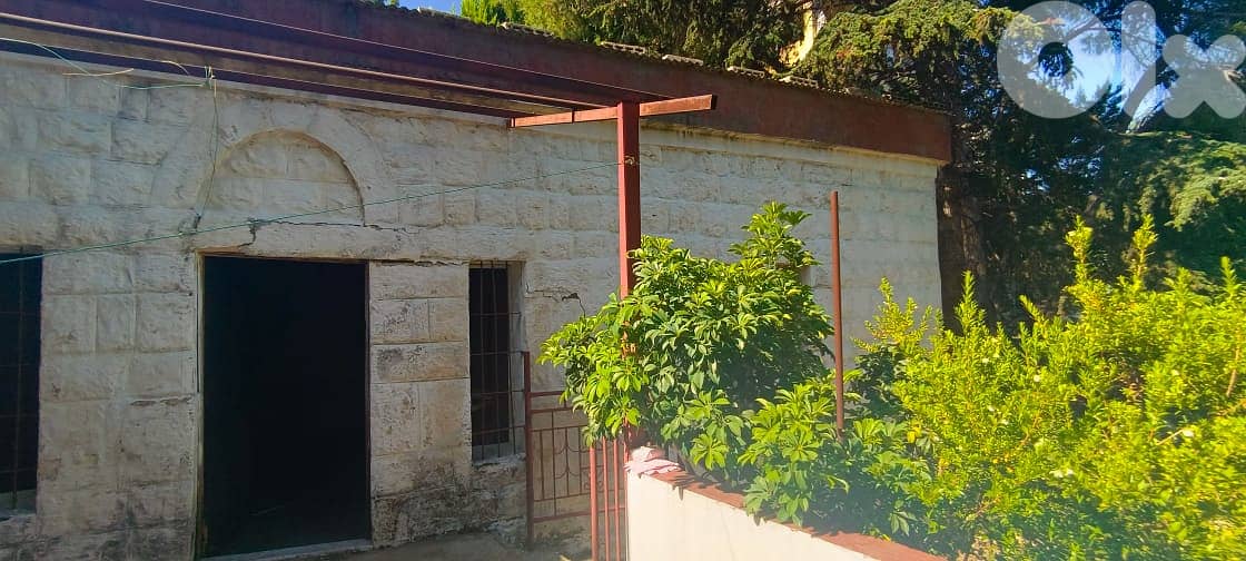 L15564-Land for Sale with an Old House In Maaysra 1