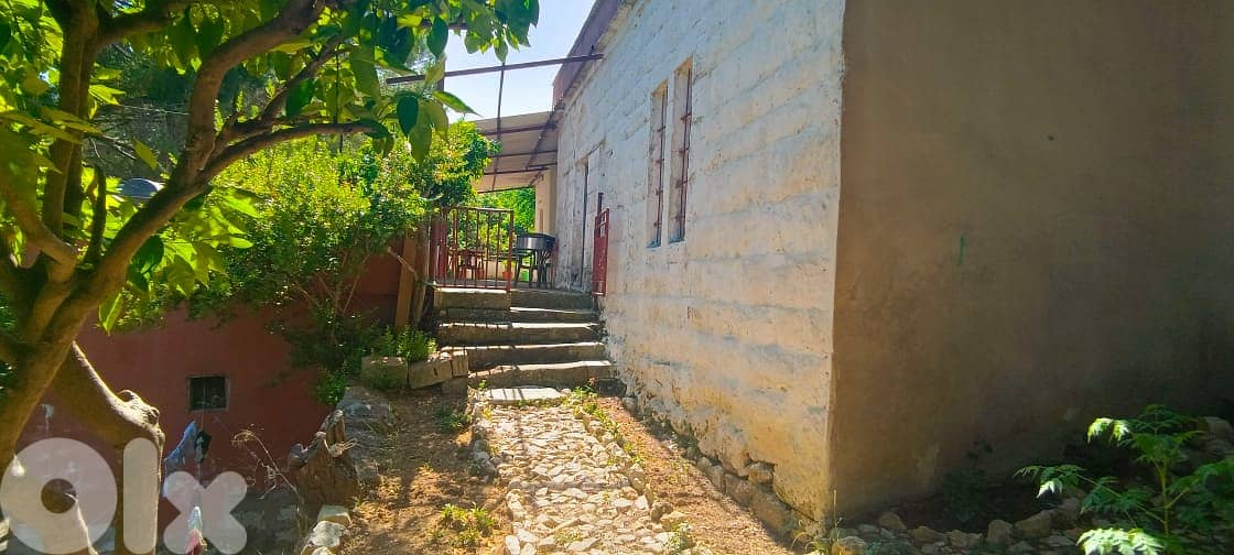 L15564-Land for Sale with an Old House In Maaysra 3