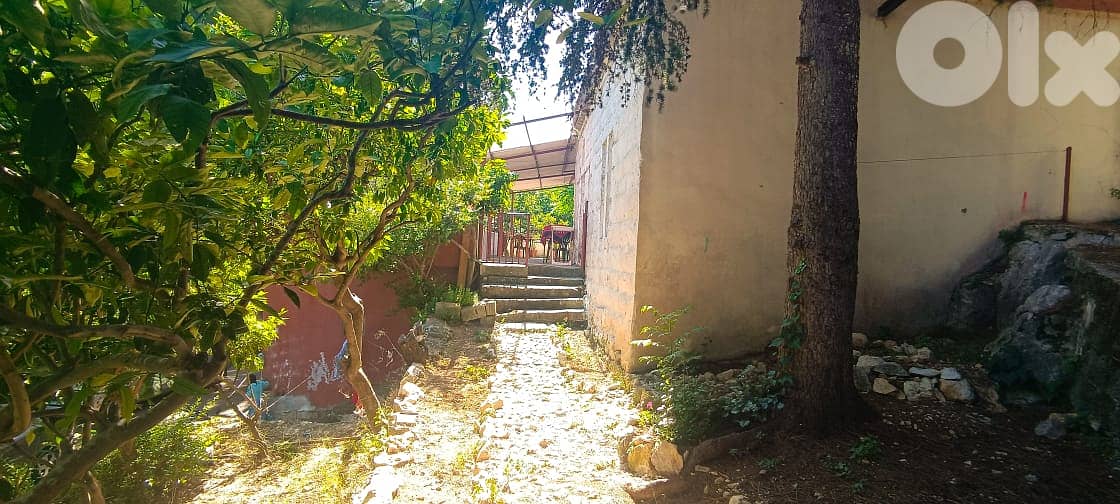 L15564-Land for Sale with an Old House In Maaysra 4