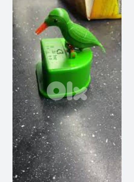 very cute bird curdon catcher 1