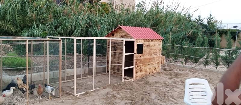 Latest Chicken Cages احدث بيوت الدجاج 11