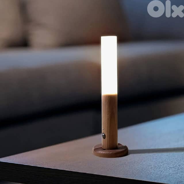 Double the Light: 2 x Motion Sensor Night Lights – Now $24! 5