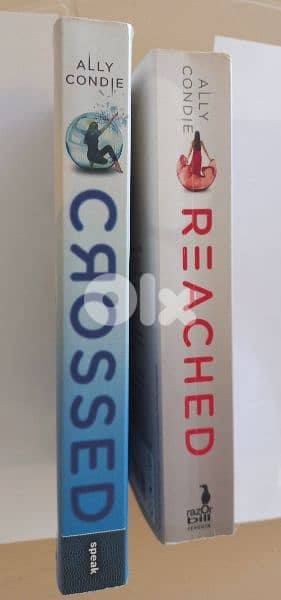 Ally Condle Best-Selling Novels:Reached 0