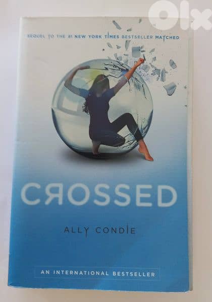 Ally Condle Best-Selling Novels:Reached 1