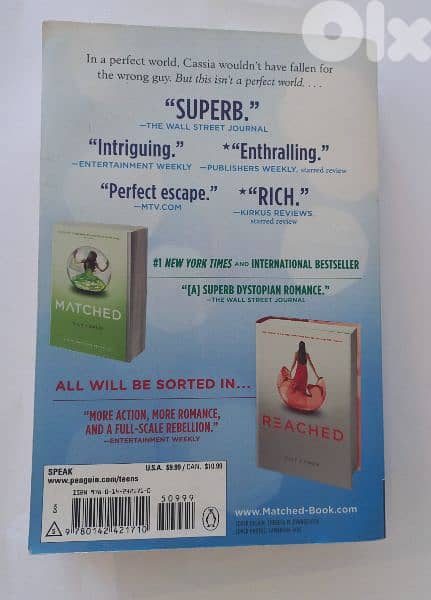 Ally Condle Best-Selling Novels:Reached 2