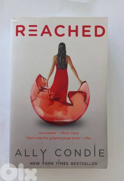 Ally Condle Best-Selling Novels:Reached 3