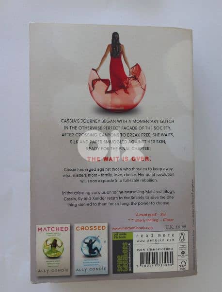 Ally Condle Best-Selling Novels:Reached 4